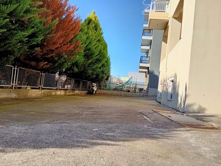 アレクサンドルポリスSemi-Basement 250M From Sea, Nea Chiliアパートメント エクステリア 写真